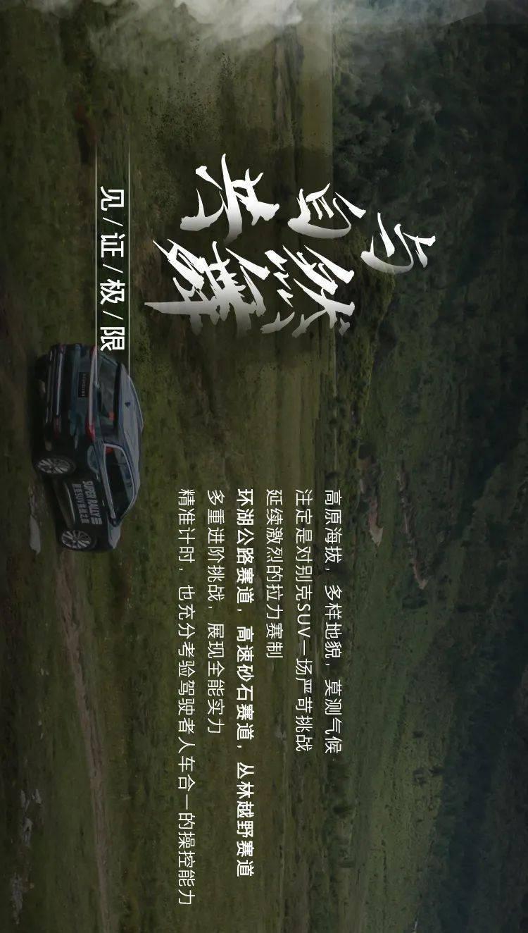 鹰击长空2