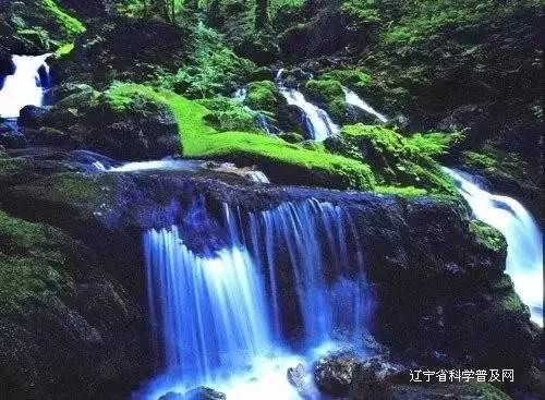 时尚太阳眼镜